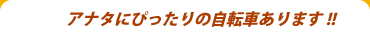 アナタにぴったりの自転車あります!!